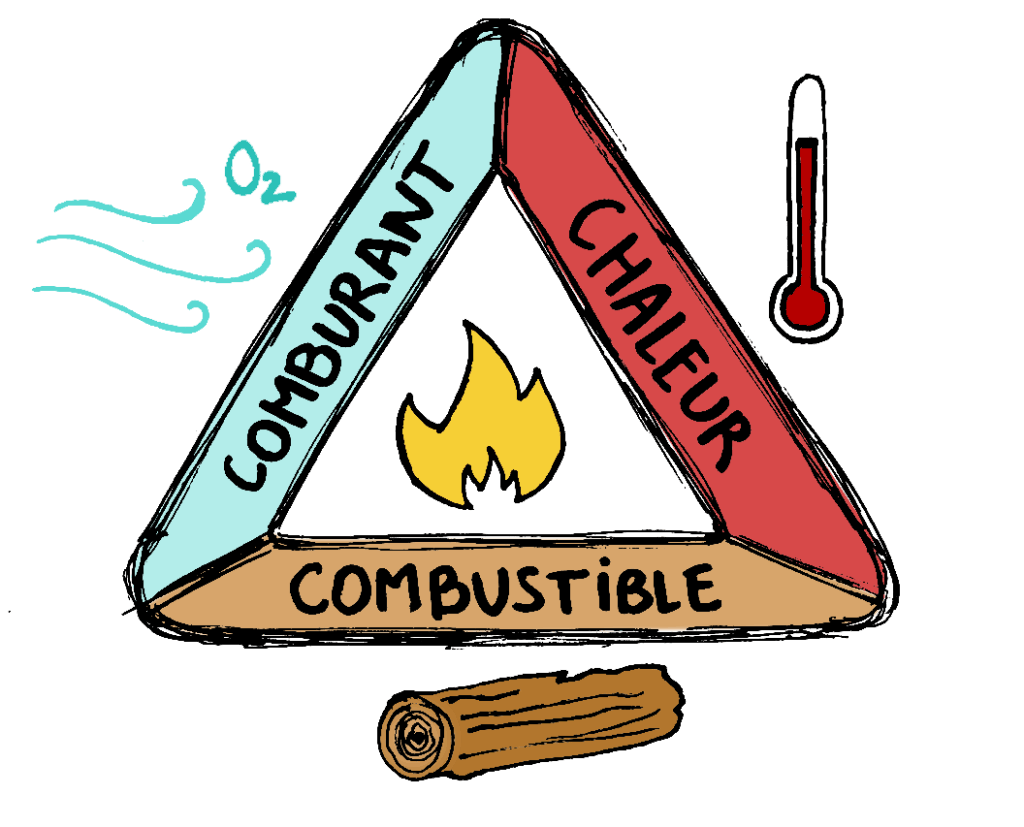 Les 3 éléments du triangle de feu - Prof Innovant